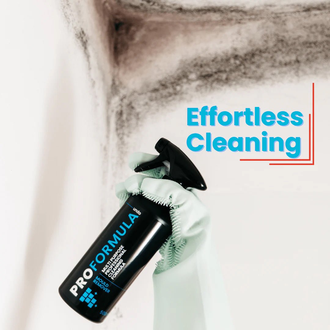Best Ideas UK ProFormula Mould Remover Gel Spray