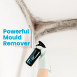 Best Ideas UK ProFormula Mould Remover Gel Spray