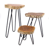 Yorkshire Bonsai Gamal Wood Plant Stands Whitewash - Set of 3