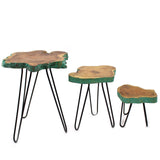 Yorkshire Bonsai Gamal Wood Plant Stands Greenwash - Set of 3