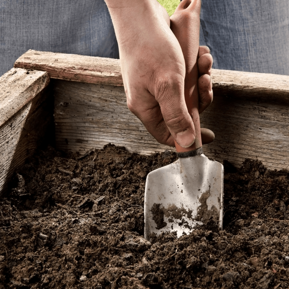 Dandy’s BedGrow® Raised Bed Welsh Topsoil Mix