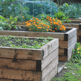 Dandy’s BedGrow® Raised Bed Welsh Topsoil Mix