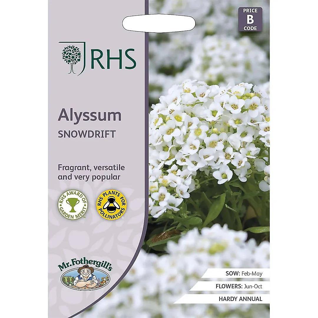 AllotMate Essentials RHS Alyssum Snowdrift Seeds 1500 Seeds