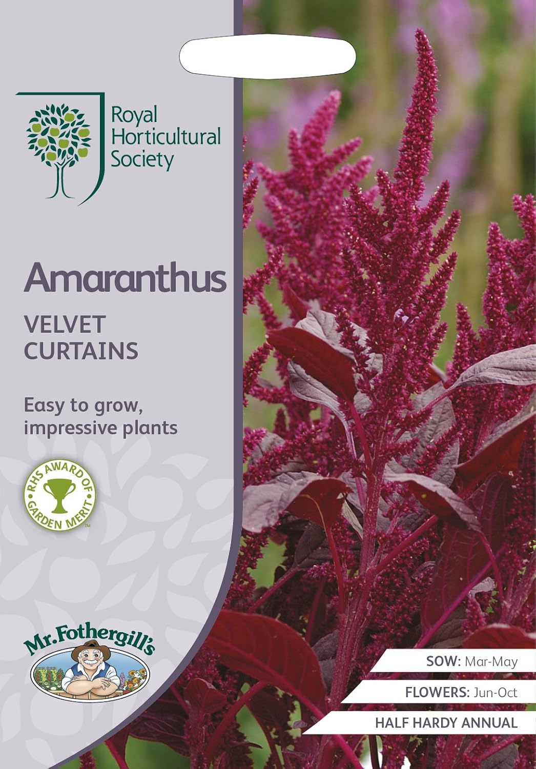 AllotMate Essentials RHS Amaranthus Velvet Curtains Seeds 1500
