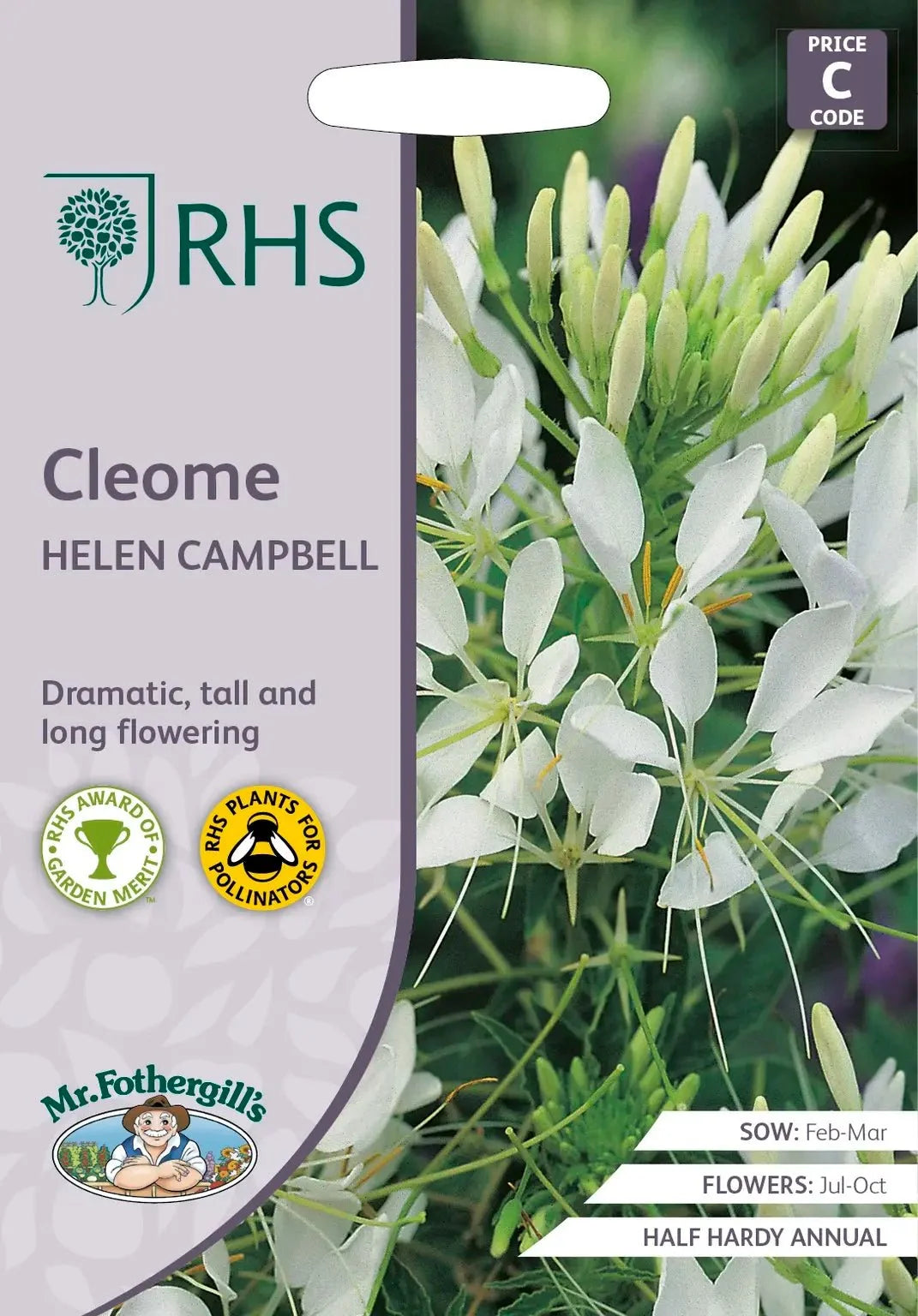 AllotMate Essentials RHS Cleome Helen Campbell Seeds 250