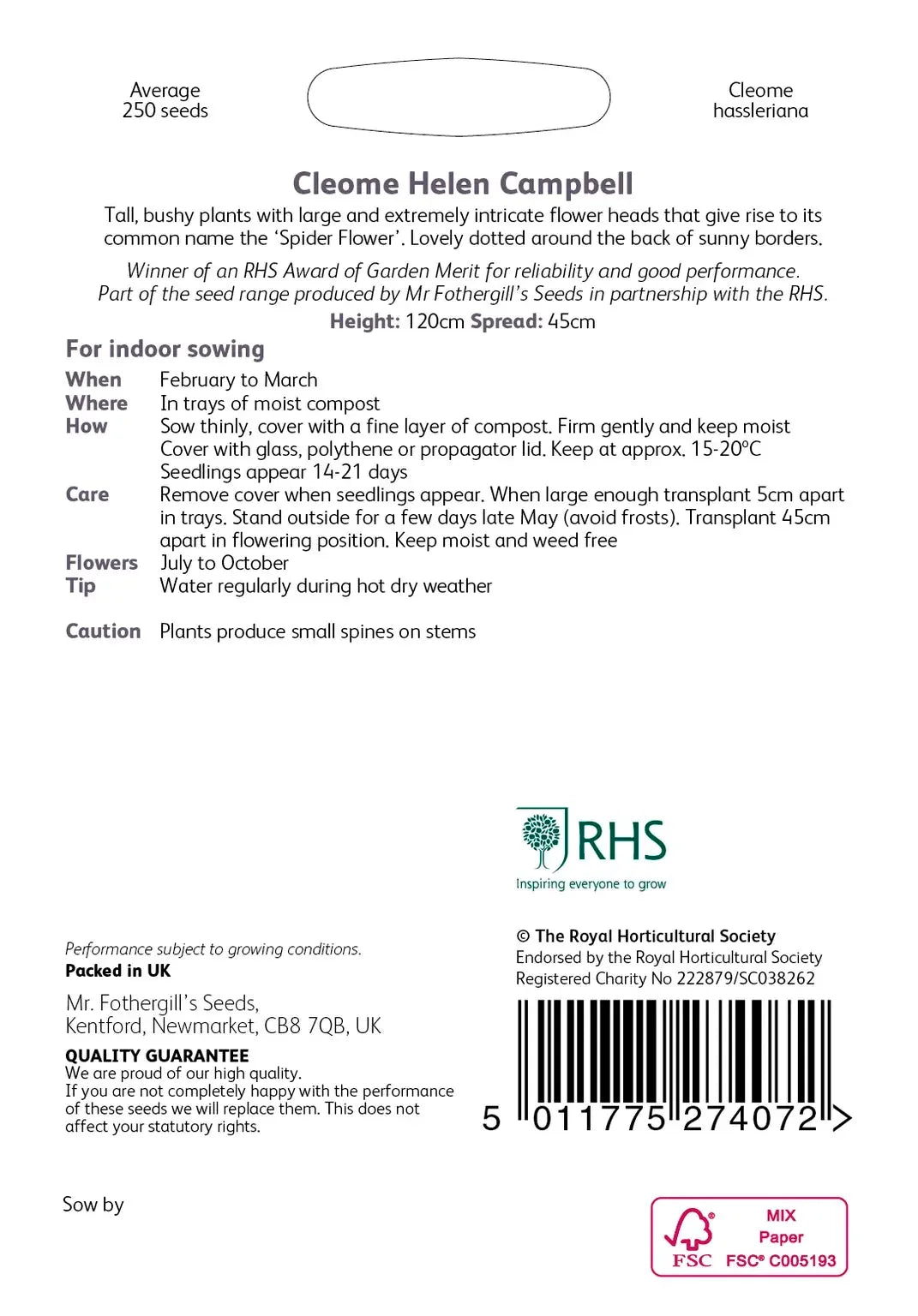 AllotMate Essentials RHS Cleome Helen Campbell Seeds 250