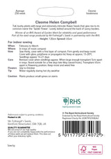 AllotMate Essentials RHS Cleome Helen Campbell Seeds 250