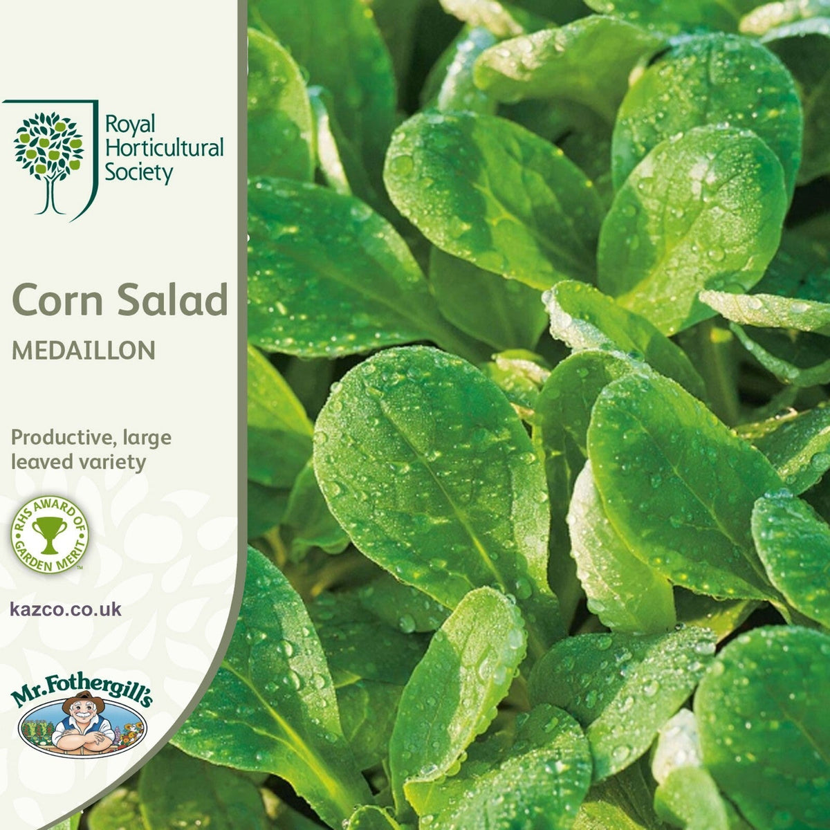AllotMate Essentials RHS Corn Salad Medaillon Seeds, 500 Seeds