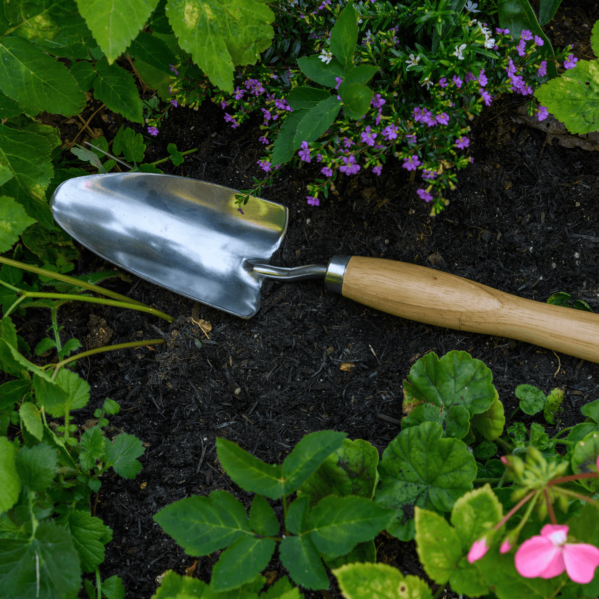 AllotMate Essentials RHS Stainless Steel Mid-Handled Trowel by Burgon & Ball