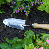 AllotMate Essentials RHS Endorsed Stainless Steel Transplanter by Burgon & Ball
