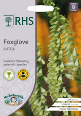 AllotMate Essentials RHS Foxglove Lutea 1000 Seeds, Hardy Perennial Yellow Digitalis