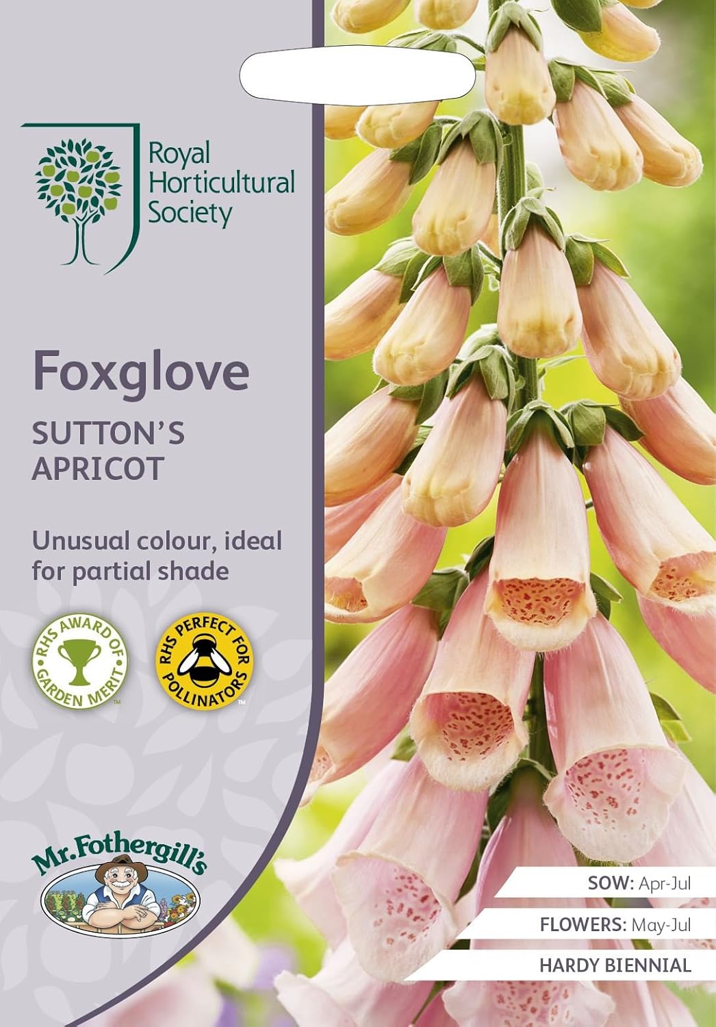 AllotMate Essentials RHS Foxglove Suttons Apricot Seeds, 2500 Seeds