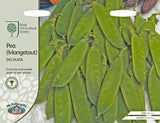 AllotMate Essentials RHS Pea Mangetout Delikata Seeds – AGM Variety