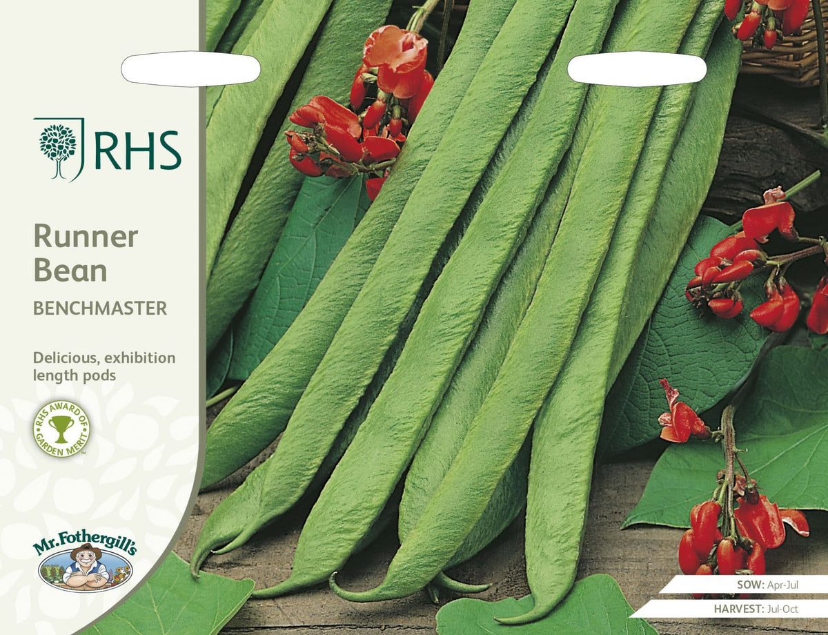 AllotMate Essentials RHS Runner Bean Benchmaster Seeds