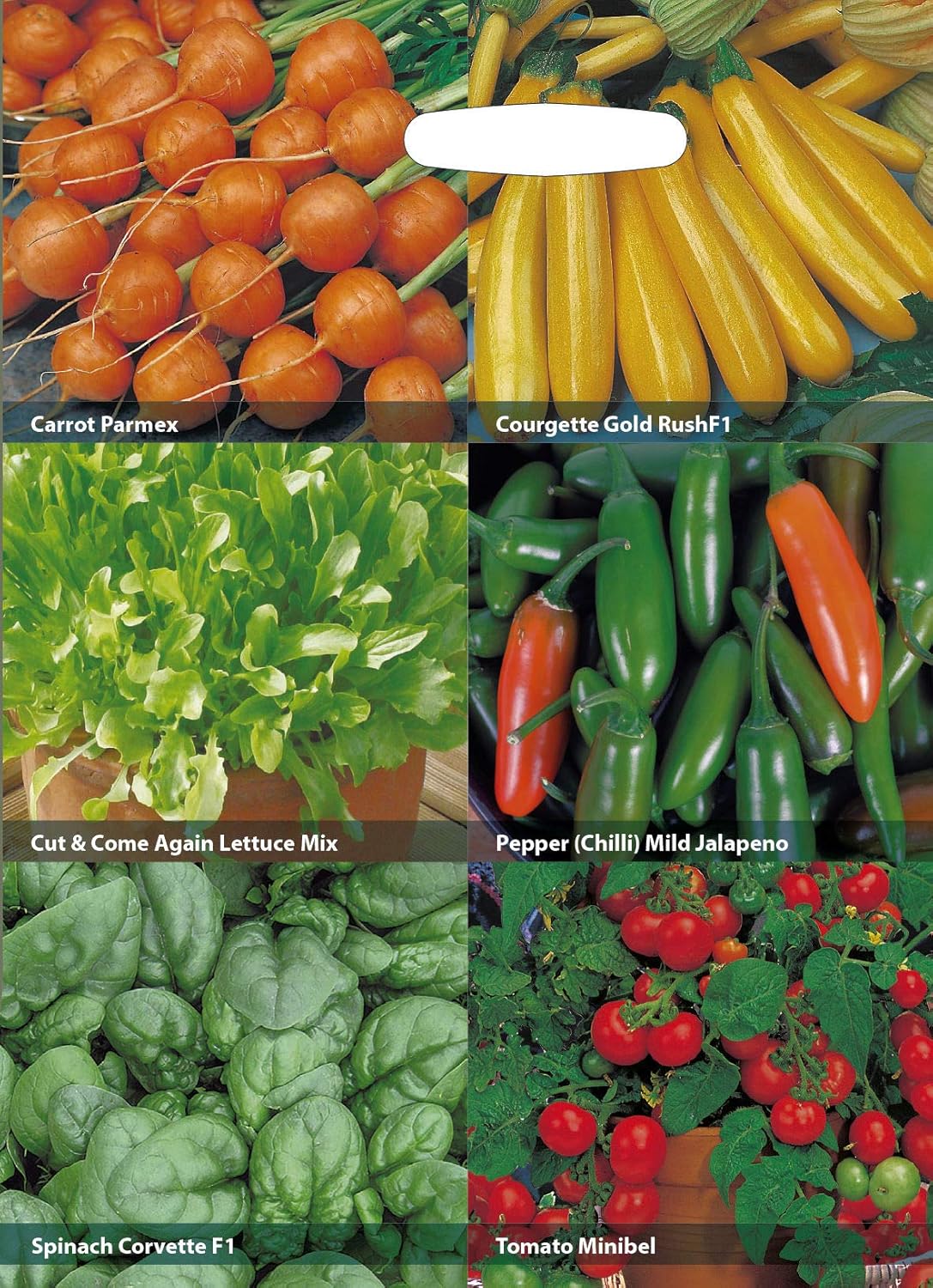 AllotMate Essentials RHS Vegetables for Containers Collection – 6 Varieties
