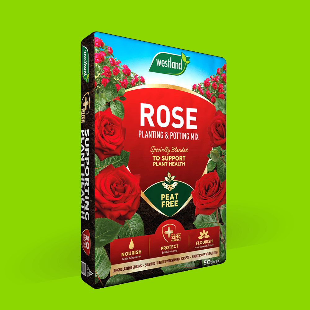 Dandy's Rose Planting Potting Mix 50Ltr Bulk Buy