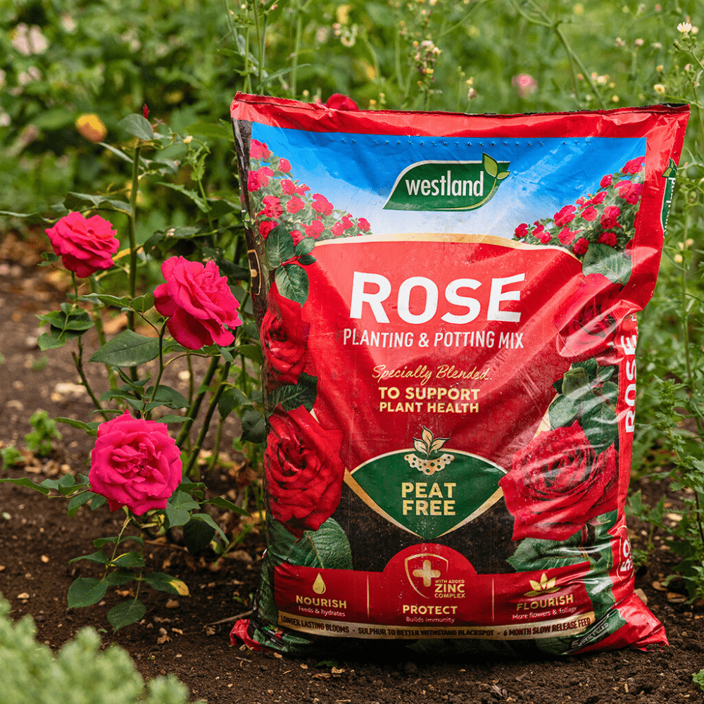 Dandy's Rose Planting Potting Mix 50Ltr Bulk Buy