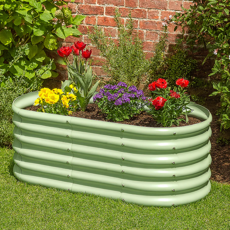 Dandy's Grow Your Own Raised Bed Kit