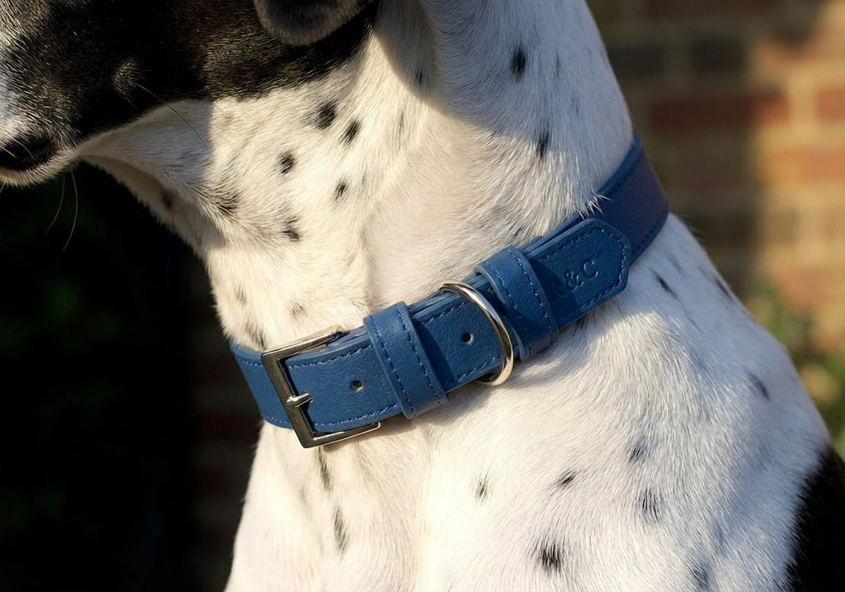 Ralph & Co Royal Blue Leather Dog Collar