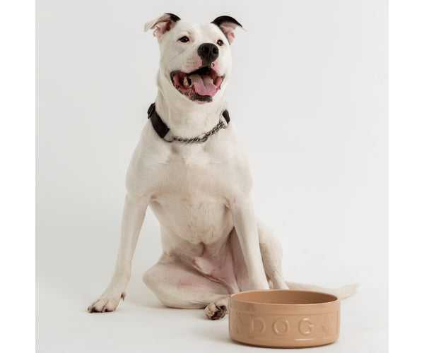 Mason Cash Lettered Dog Bowl, 25cm, Cane