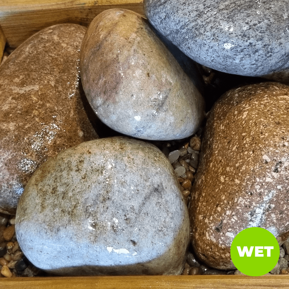 Dandy’s Welsh Blue Scottish Cobbles 80‑120 mm