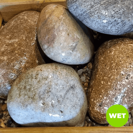 Dandy’s Welsh Blue Scottish Cobbles 80‑120 mm