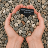 Dandy’s Scottish Mini Pebbles 8–14mm Bulk Bag