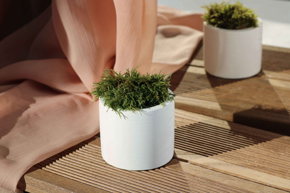 Gloria Home White Concrete Cylinder Tealight Holder & Pot