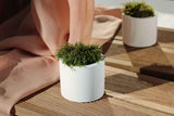 Gloria Home White Concrete Cylinder Tealight Holder & Pot