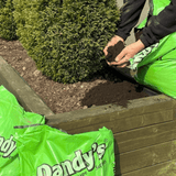 Dandy’s Multi‑Purpose Welsh Compost