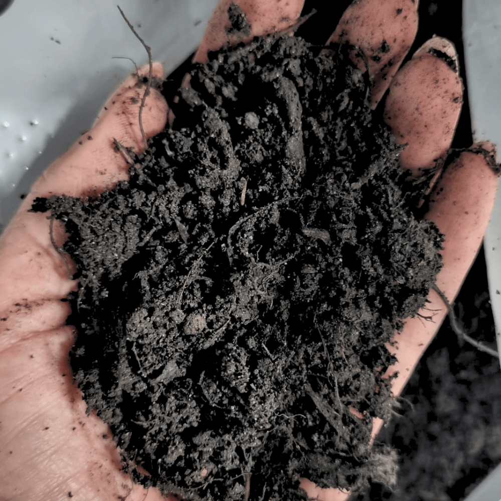 Dandy’s Multi‑Purpose Welsh Compost