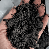 Dandy’s Multi‑Purpose Welsh Compost
