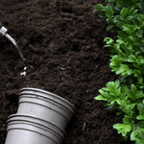 Dandy’s Multi‑Purpose Welsh Compost