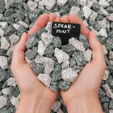 Dandy's Spearmint Gravel Chippings Jumbo Bag