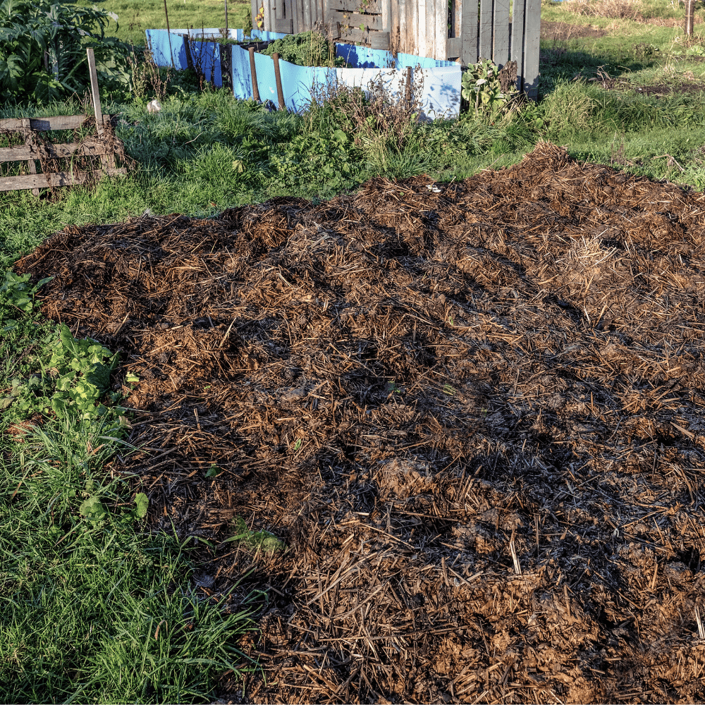 Dandy’s Spent Mushroom Compost