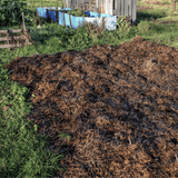 Dandy’s Spent Mushroom Compost