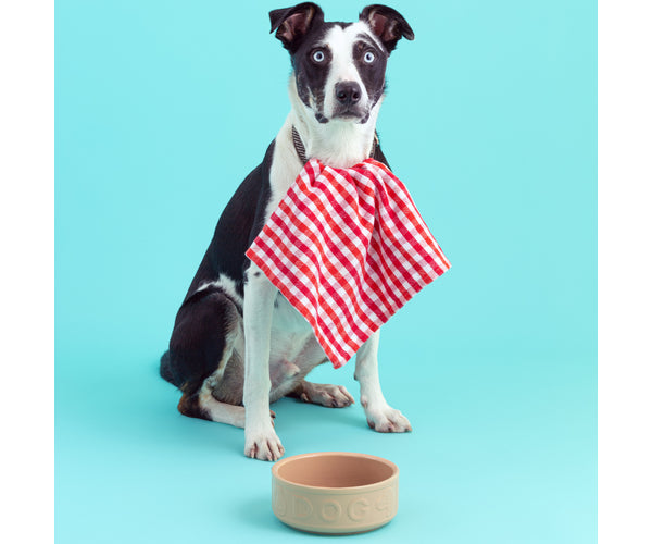 Mason Cash Cane Lettered Dog Bowl, 18cm