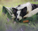 Ralph & Co Richmond Luxury Green Dog Bed