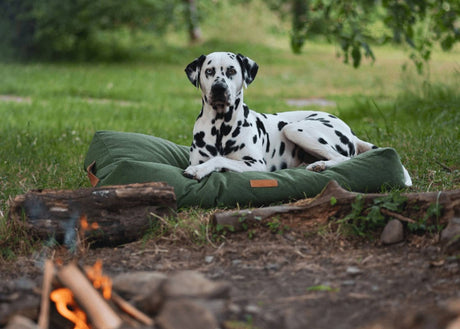 Ralph & Co Richmond Luxury Pillow Dog Bed