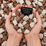 Dandy's Strawberries & Cream Gravel Jumbo Bag