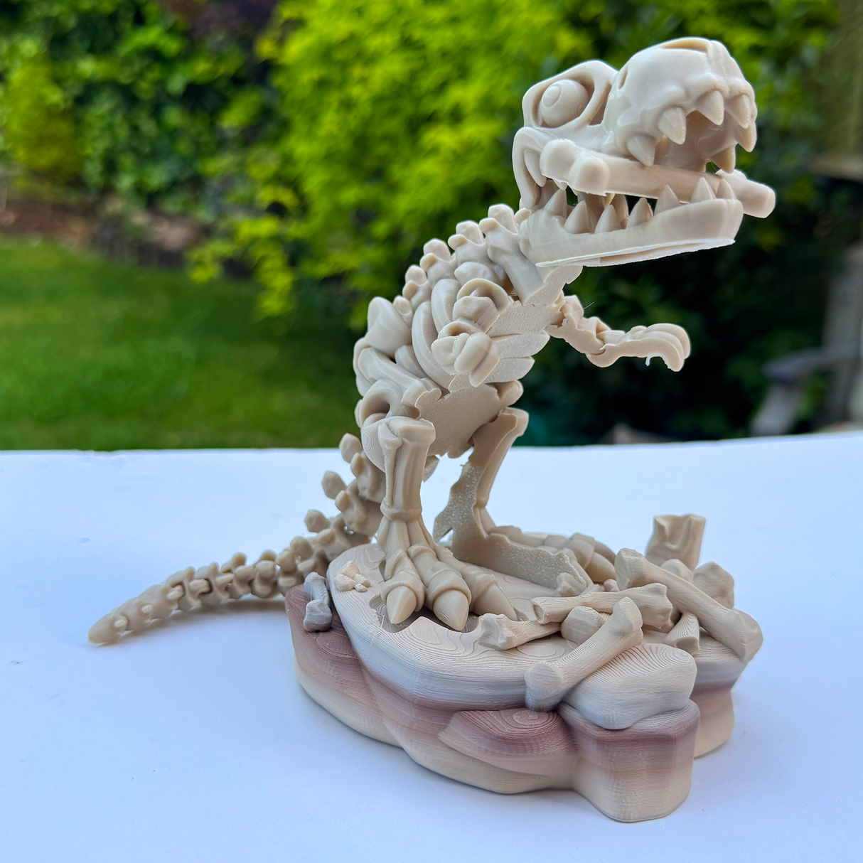 Filamora Studios Articulated T-Rex Skeleton