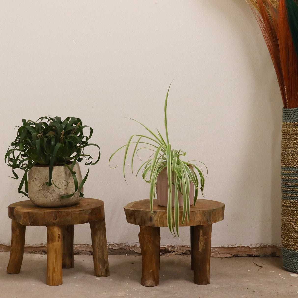 Yorkshire Bonsai Hand Carved Buddha Statue Wooden Decor - 40cm