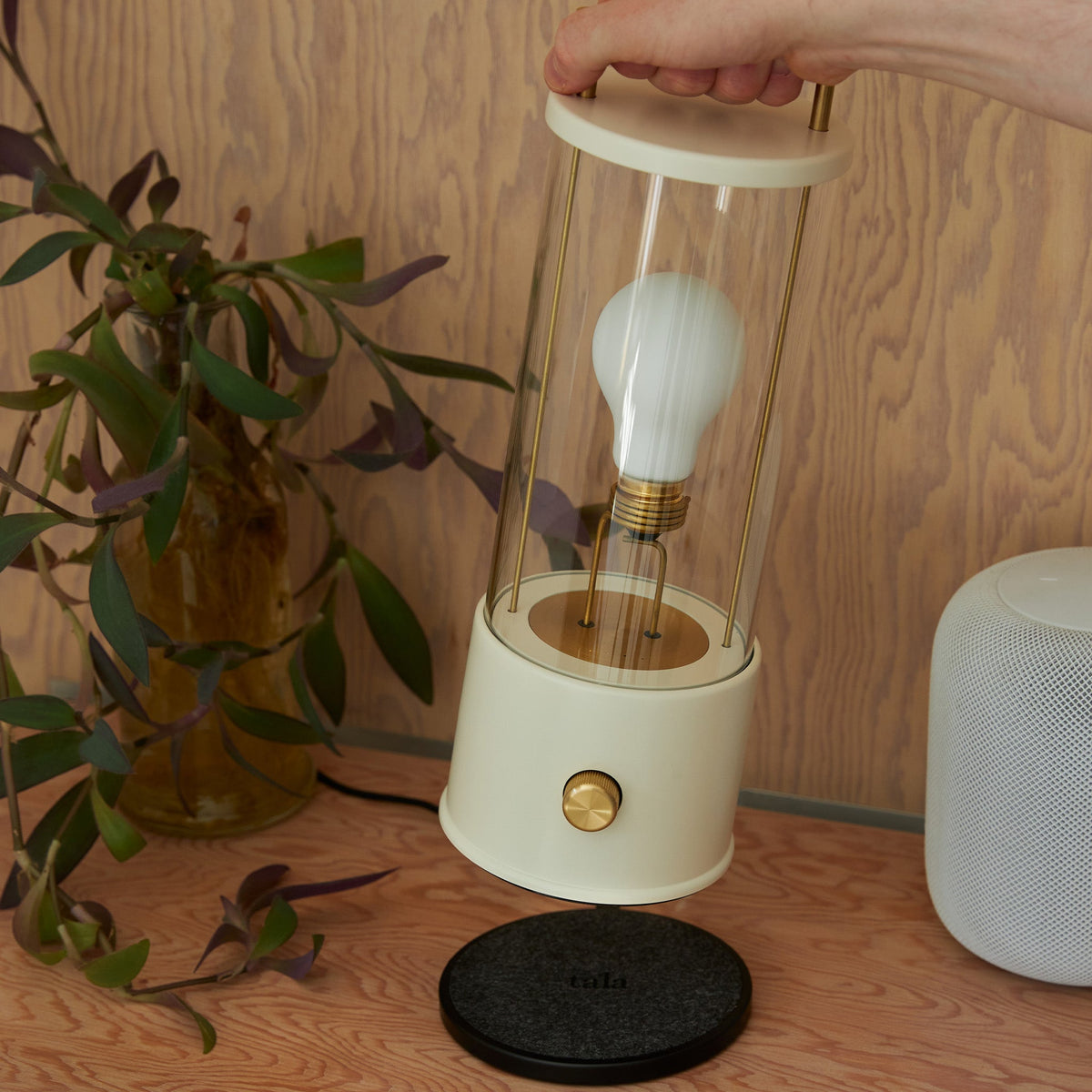 Tala The Muse 1.0 Portable Lamp Candlenut White Bundle