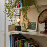 Tala The Muse 1.0 Portable Lamp in Hackles Black Bundle