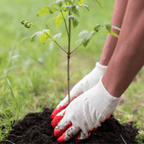 Dandy’s RootMax Tree Planting Soil