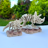 Filamora Studios Articulated Triceratops Skeleton