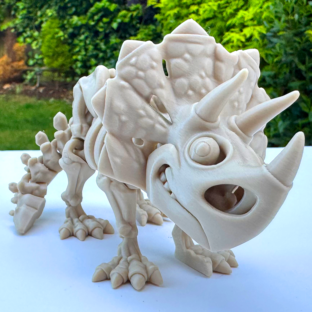Filamora Studios Articulated Triceratops Skeleton