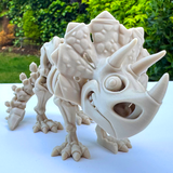 Filamora Studios Articulated Triceratops Skeleton