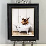 Pagazzi Highland Cow in Tub 50x40 Framed Wall Art