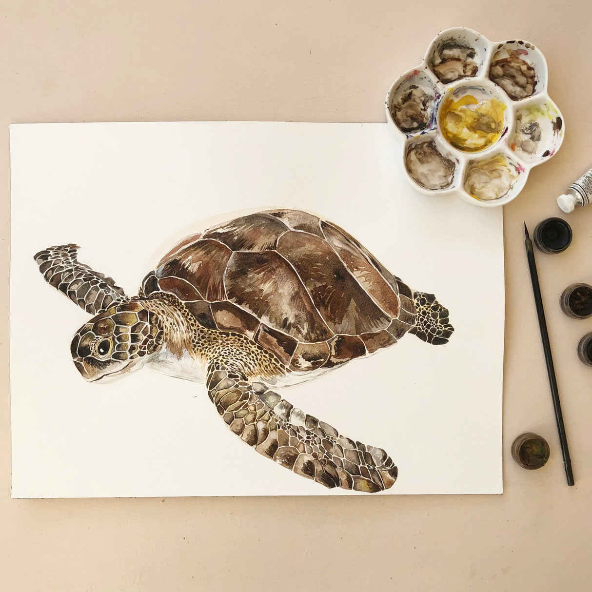 Sea Turtle Hand Painted Greetings Card | Katie Hipwell Design